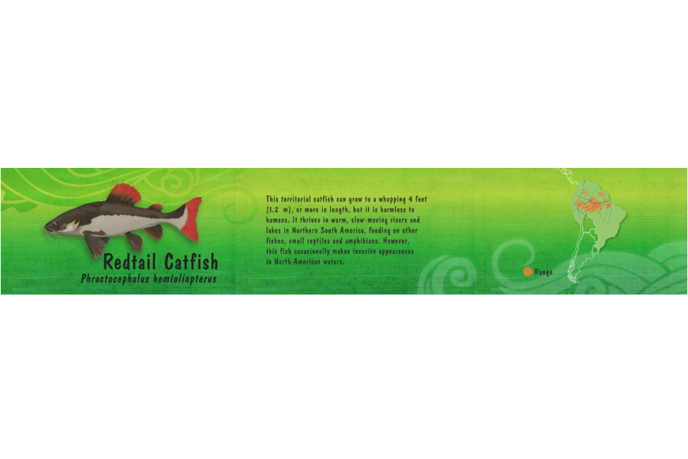 Animal Identification Display